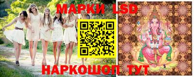 стаф Новодвинск