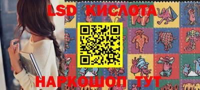 стаф Новодвинск
