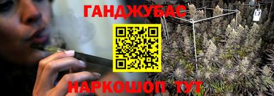 стаф Новодвинск