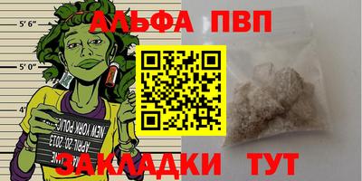 стаф Новодвинск